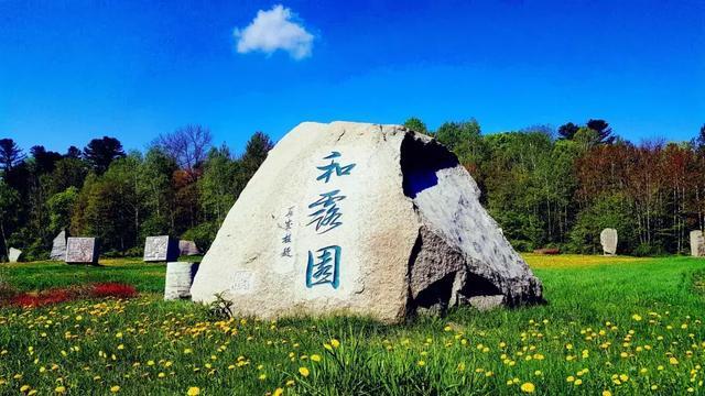 探索秘密世界，凉皮里加什么劲道透亮 凉皮怎么做才透亮等你来问