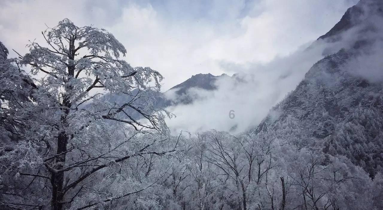 顺昌县：参训人员模拟救助旅途中突发疾病的旅客