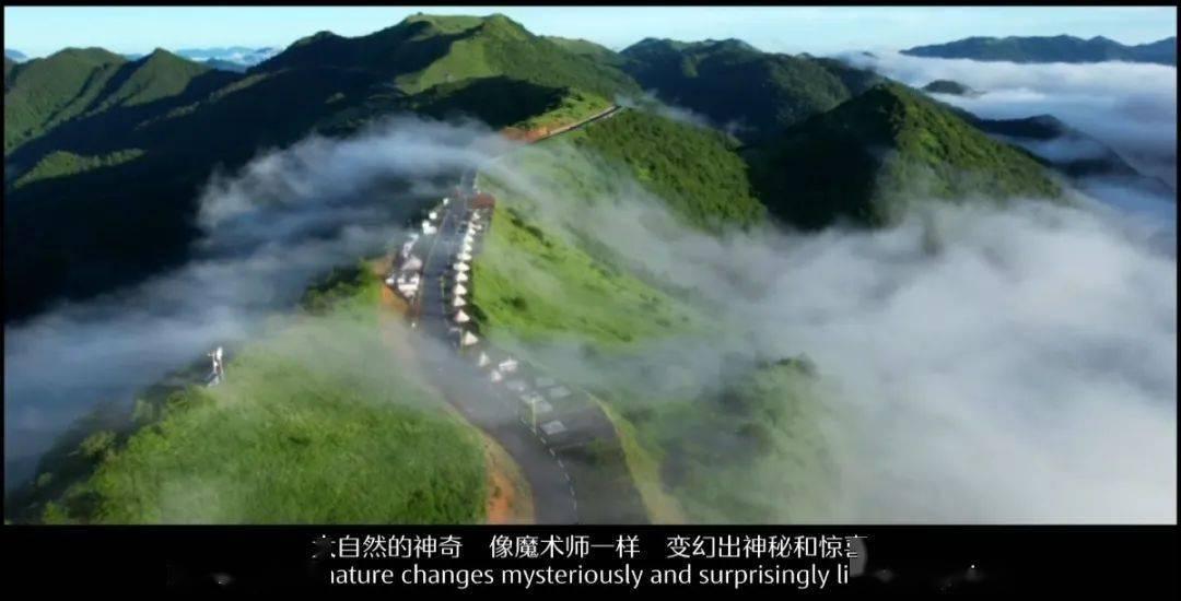 夏季纽扣裙